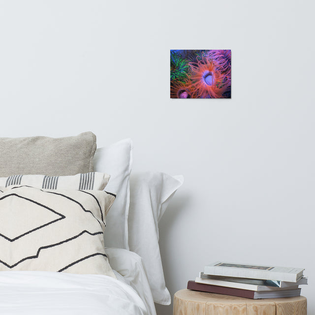 Stickers & Prints