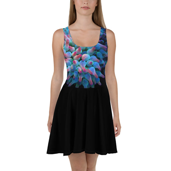Blue Dream Skater Dress