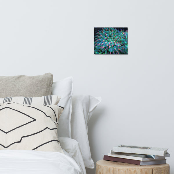 Metal prints 3