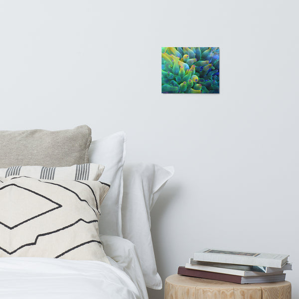 Metal prints 9