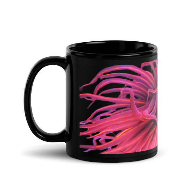 Drinkware