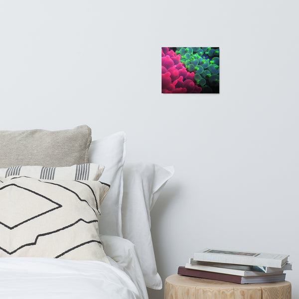 Metal prints 7