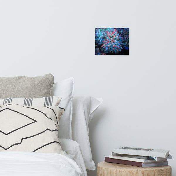 Metal prints 4