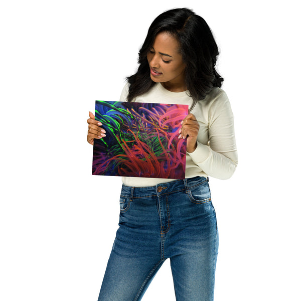 Metal prints 6