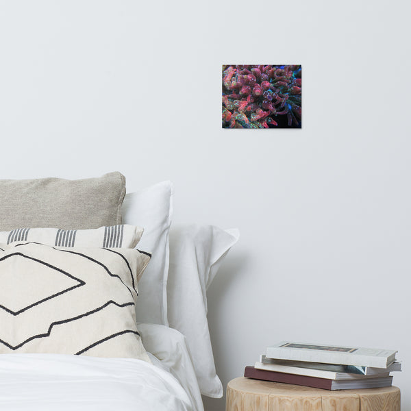 Metal prints 2
